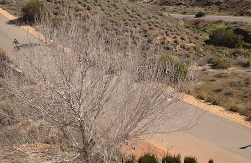 Las Negras Ski Chalet | The Black Natural Park Cabo de Gata-Nijar