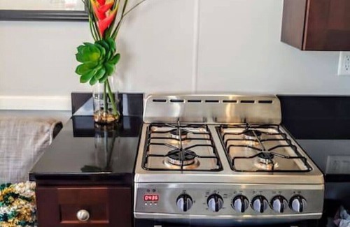 Northwest Orlando House | The Blue Heron · The Blue Heron