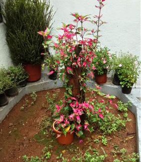Napoklu Bed & Breakfast | The Blue Mountains Estate Stay