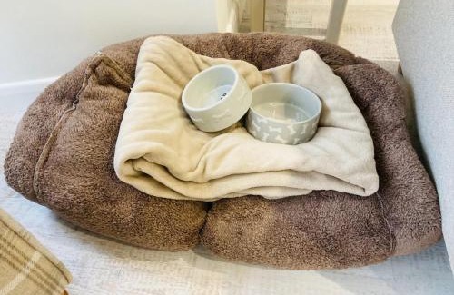 Porthmadog Apartment | The Bluebell Porthmadog