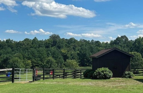 Berkeley Apartment | The Camper at The Pines Horse Farm