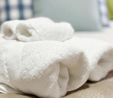Evansville Apartment | The Cardinal Studio Apartments