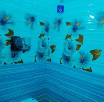 Poovar House | The Coral Nest Homestay