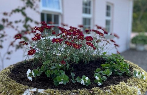 Enniskillen House | The Cottage at Riverbank