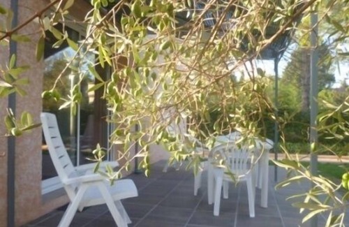 Ales House | the country house in the shade of olive trees
