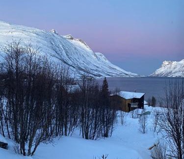 Ersfjordbotn House | The Crush