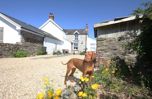 Llanybri Cottage | THE DEN, pet friendly, character holiday cottage in Llansteffan