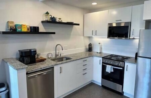 Winston - Salem Apartment | The Downtown Moxie!
