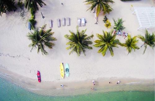 Placencia Hotel | The Ellysian Boutique Hotel