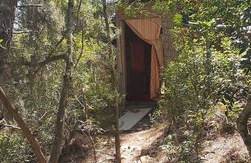 Santa Gertrudis Cabin | The bamboo house in the forest