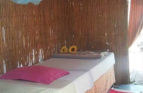 Santa Gertrudis Cabin | The bamboo house in the forest