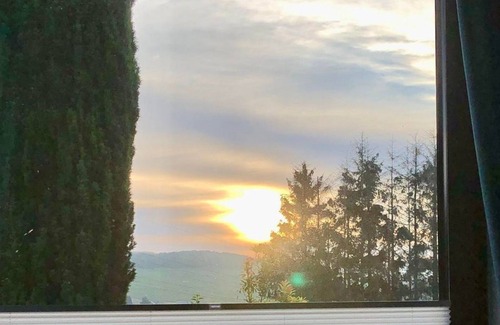 Osann-Monzel Apartment | The feel-good oases - The feel-good oasis on the Moselle