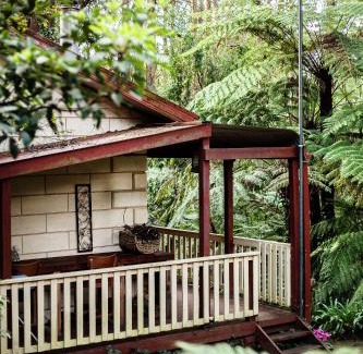 Mount Dandenong Bed & Breakfast | The Fernglen Forest Retreat