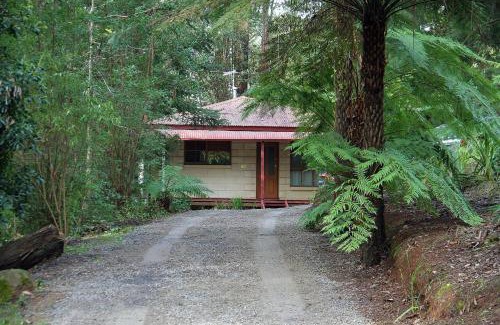 Mount Dandenong Bed & Breakfast | The Fernglen Forest Retreat
