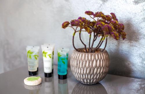 Brownswood House | The Finsbury Guesthouse