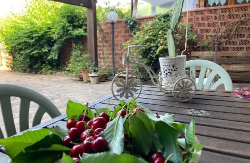 Potenza House | The Flowers' House