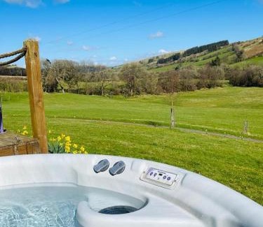 Trecastle Apartment | The Flying Scotsman Shepherd's Hut with Hot Tub