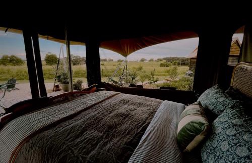 Haigslea Other | The Forager Glamping at Twigley Farm