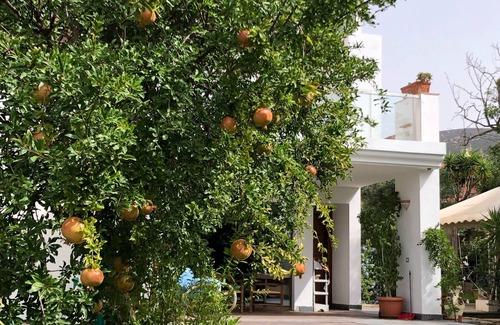 Terra Mala Villa | The gate to the seaExclusive villa for 12 people six bedrooms and five bathrooms.