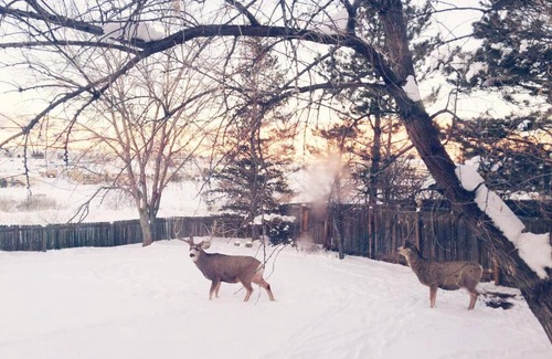 Rockrimmon House | The Gathering House - Gorgeous Views & Trails -