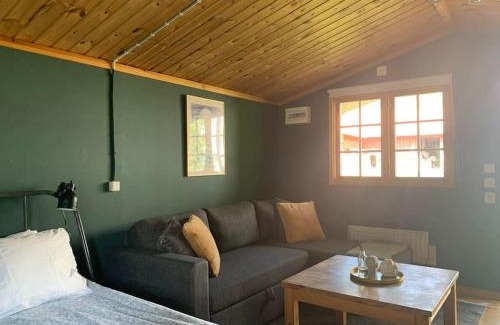 Fagerfjall House | The Green Cabin