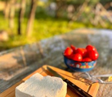 Vama Buzaului Cabin | The Grit - 5-Star Hideaway for Two