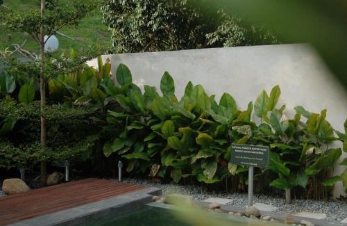 Janda Baik Villa | The Hectar Private villa in Janda Baik