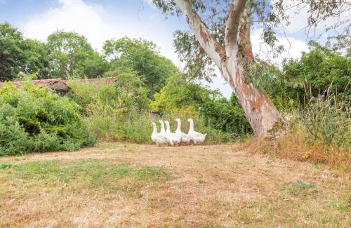 Gissing House | The Hen House
