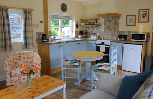 Newcastle Emlyn Cottage | The Hideaway, Aberporth