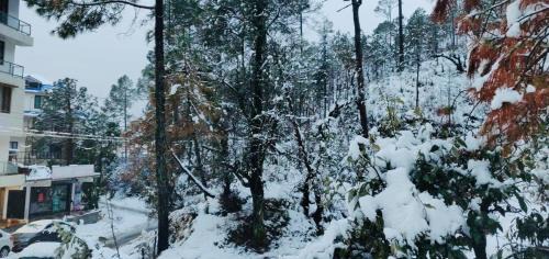 Banikhet Hotel | The Hoften Blue Magnets, Dalhousie