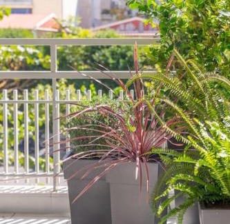 Ilisia Apartment | The HostMaster Lavish Athenian Treasure