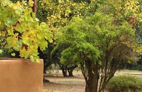 Katrine House | The Inn @ Katrine Steading