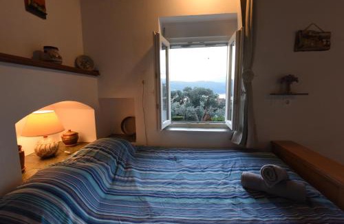 Samos House | The Kalivi
