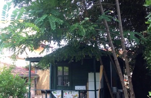 Marina di Pietrasanta Apartment | The Lagottino near the sea