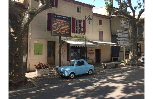 Villeneuve-Minervois House | The lemon trees secret gardens.