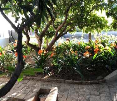 Prince Albert House | The Lemon Tree