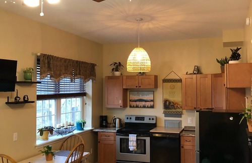 Woodfin Apartment | The Lil’ Sanctuary 1 bedroom suite near downtown. Walk to the river!