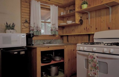 Lake City Cabin | The Lily Cabin with Mountain Views