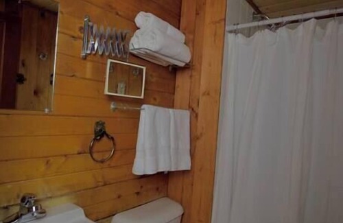 Lake City Cabin | The Lily Cabin with Mountain Views