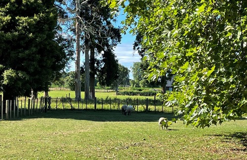 Pukemoremore House | The Little House is in a rural setting 8 minutes to Cambridge.