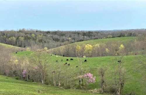 Jonesville House | The Lodge @ Riley Farms, Comfort & Rest close to The Ark