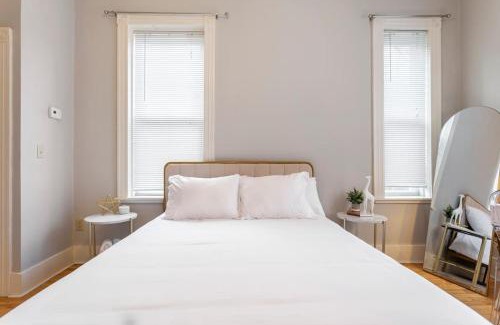 Mill River Apartment | The Matisse at Wooster Square Yale with Parking