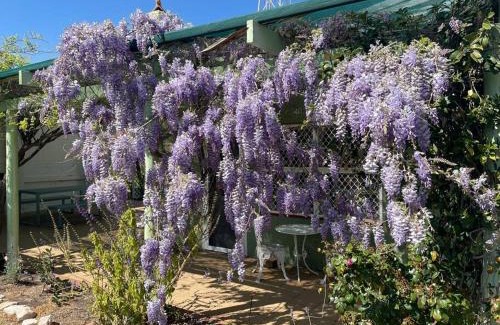 Merredin Apartment | The Merredin Treasury Cottage