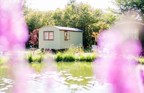 Hambledon Hotel | The Merry Harriers Pub