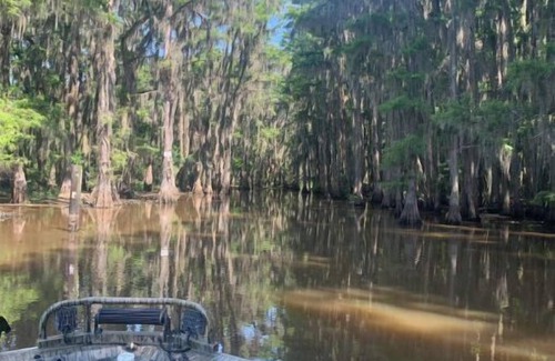 Karnack Cabin | The Minnow Bucket