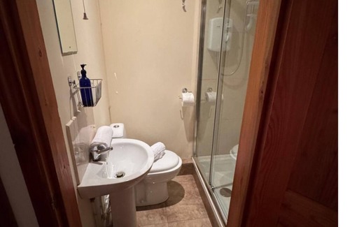 Carmarthen Cabin | The Nature's Nook with HotTub and Free WIFI in Blaen-y-coed, United Kingdom