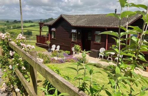 Modbury House | The Nest