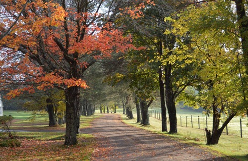 Margaree Valley Hotel | The Normaway Inn