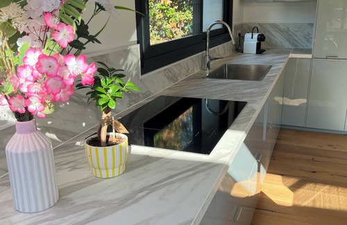Mougins House | The olive house