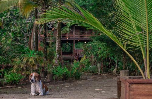 Pacifica House | The Pelican House Hostel